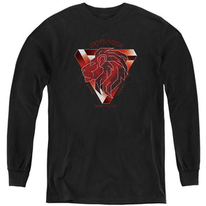AN OFFCIALLY LICENSED HARRY POTTER GRYFFINDOR BRAVERY COURAGE DETERMINATION YOUTH LONG SLEEVE T-SHIRT BLACK
