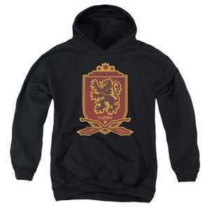 AN OFFCIALLY LICENSED HARRY POTTER GRYFFINDOR BROOMSTICK BADGER LOGO YOUTH HOODIE BLACK