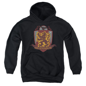 AN OFFCIALLY LICENSED HARRY POTTER GRYFFINDOR QUIDDITCH SHIELD LOGO YOUTH HOODIE BLACK