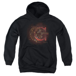 AN OFFCIALLY LICENSED HARRY POTTER CELESTIAL NOMAD GRYFFINDOR YOUTH HOODIE BLACK