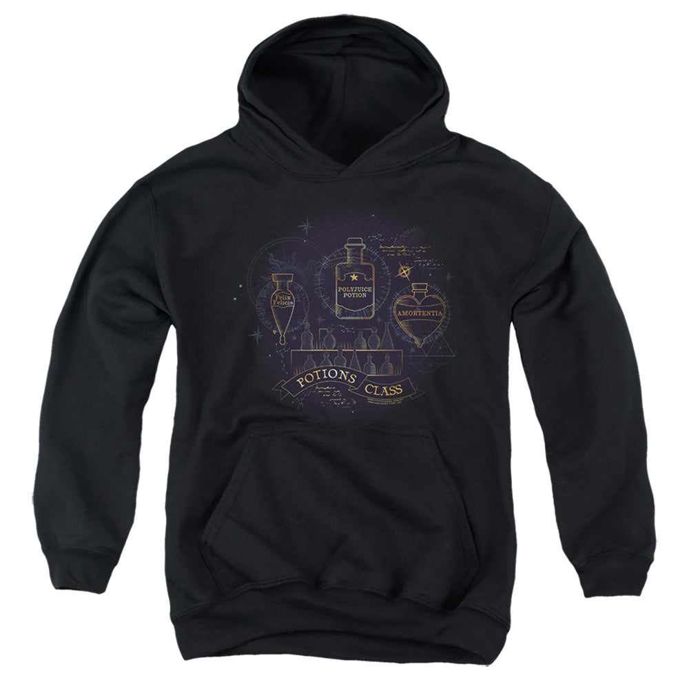 AN OFFCIALLY LICENSED HARRY POTTER POTIONS CLASS YOUTH HOODIE BLACK