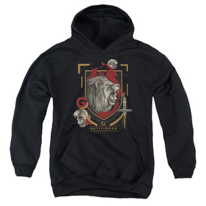 AN OFFCIALLY LICENSED HARRY POTTER GRYFFINDOR MAGICIAL MISCHIEF LEVEL UP CREST YOUTH HOODIE BLACK