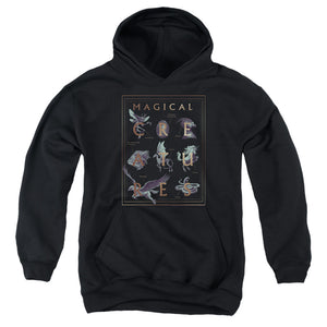 AN OFFCIALLY LICENSED HARRY POTTER MAGICAL CREATURES BOOK COVER YOUTH HOODIE BLACK