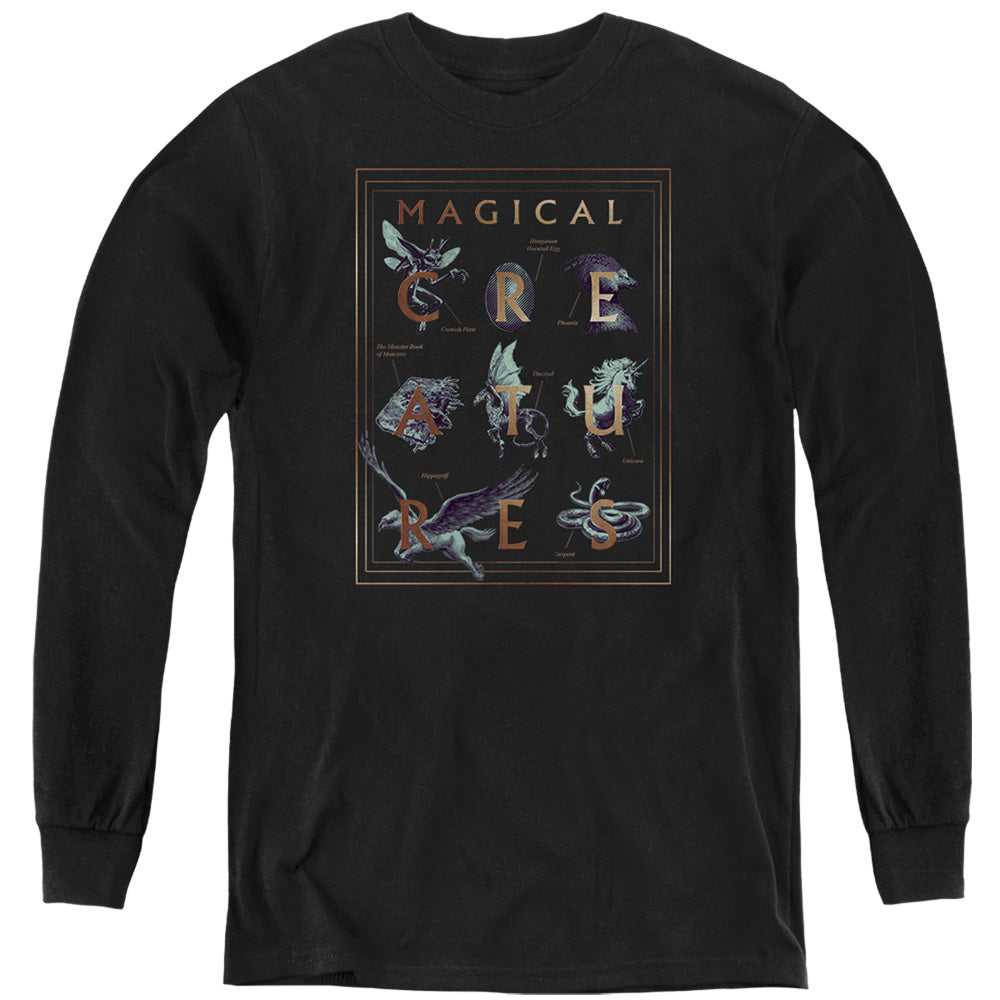 AN OFFCIALLY LICENSED HARRY POTTER MAGICAL CREATURES BOOK COVER YOUTH LONG SLEEVE T-SHIRT BLACK