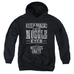 AN OFFCIALLY LICENSED HARRY POTTER WIZARDS UNITE HIDDEN MAGIC YOUTH HOODIE BLACK