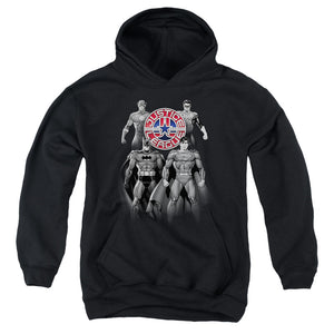 AN OFFCIALLY LICENSED JLA SHADES OF GRAY YOUTH HOODIE BLACK