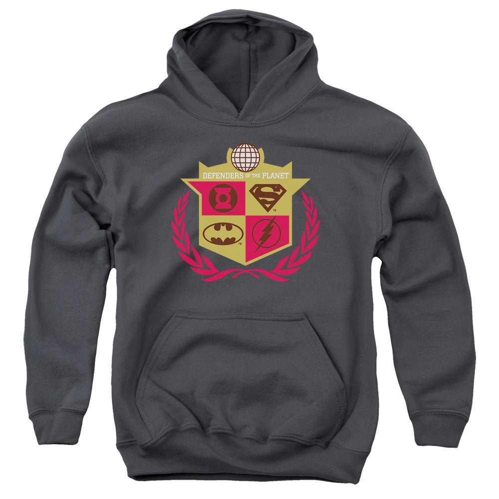 AN OFFCIALLY LICENSED JLA DEFENDERS YOUTH HOODIE CHARCOAL