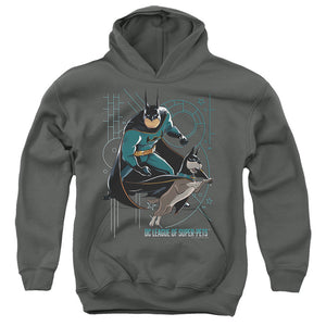 AN OFFCIALLY LICENSED DC LEAGUE OF SUPER PETS BAT AND ACE YOUTH HOODIE CHARCOAL