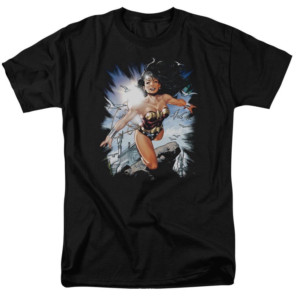 AN OFFCIALLY LICENSED JLA OF THEMYSCIRA MEN'S REGULAR FIT T-SHIRT BLACK
