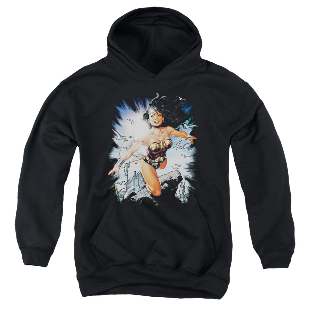 AN OFFCIALLY LICENSED JLA OF THEMYSCIRA YOUTH HOODIE BLACK