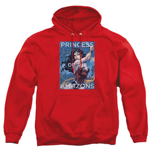 AN OFFCIALLY LICENSED JLA PRINCESS OF THE AMAZONS ADULT UNISEX PULLOVER HOODIE RED