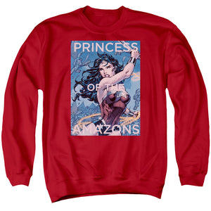 AN OFFCIALLY LICENSED JLA PRINCESS OF THE AMAZONS ADULT UNISEX CREWNECK SWEATSHIRT RED
