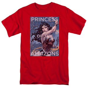 AN OFFCIALLY LICENSED JLA PRINCESS OF THE AMAZONS MEN'S REGULAR FIT T-SHIRT RED