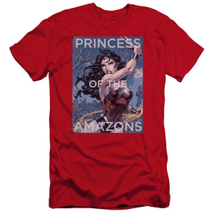 AN OFFCIALLY LICENSED JLA PRINCESS OF THE AMAZONS MEN'S PREMIUM SLIM FIT T-SHIRT RED