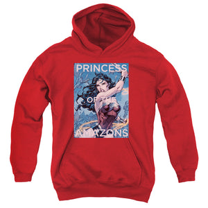 AN OFFCIALLY LICENSED JLA PRINCESS OF THE AMAZONS YOUTH HOODIE RED
