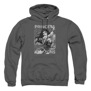 AN OFFCIALLY LICENSED JLA PRINCESS OF THE AMAZONS ADULT UNISEX PULLOVER HOODIE CHARCOAL