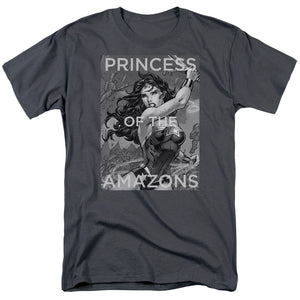 AN OFFCIALLY LICENSED JLA PRINCESS OF THE AMAZONS MEN'S REGULAR FIT T-SHIRT CHARCOAL