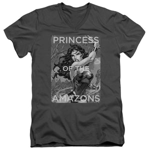 AN OFFCIALLY LICENSED JLA PRINCESS OF THE AMAZONS MEN'S V-NECK T-SHIRT CHARCOAL