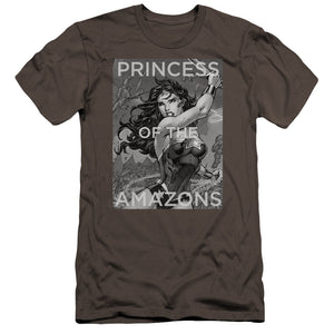 AN OFFCIALLY LICENSED JLA PRINCESS OF THE AMAZONS MEN'S PREMIUM SLIM FIT T-SHIRT CHARCOAL