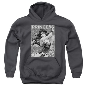 AN OFFCIALLY LICENSED JLA PRINCESS OF THE AMAZONS YOUTH HOODIE CHARCOAL