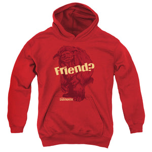 AN OFFCIALLY LICENSED LABYRINTH LUDO FRIEND YOUTH HOODIE RED