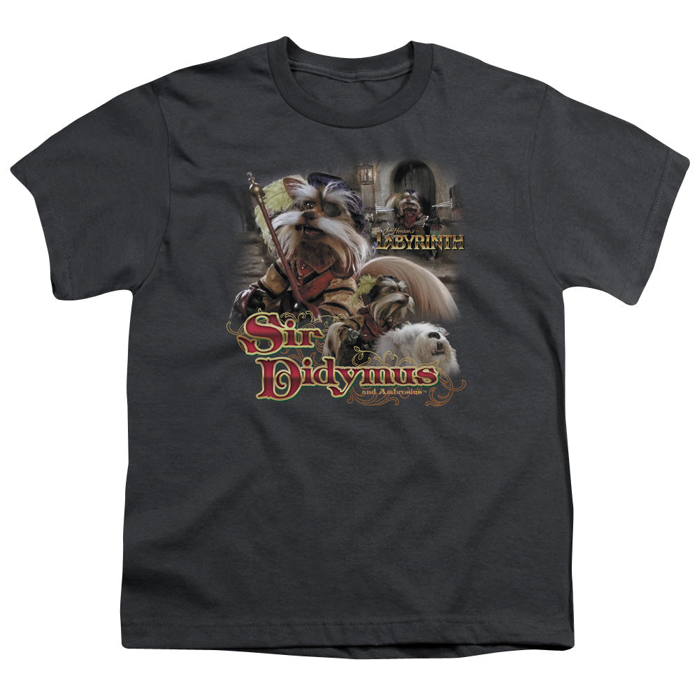 Labyrinth Sir Didymus Licensed Kid's T-Shirt (Ages 4-7) SM-XL