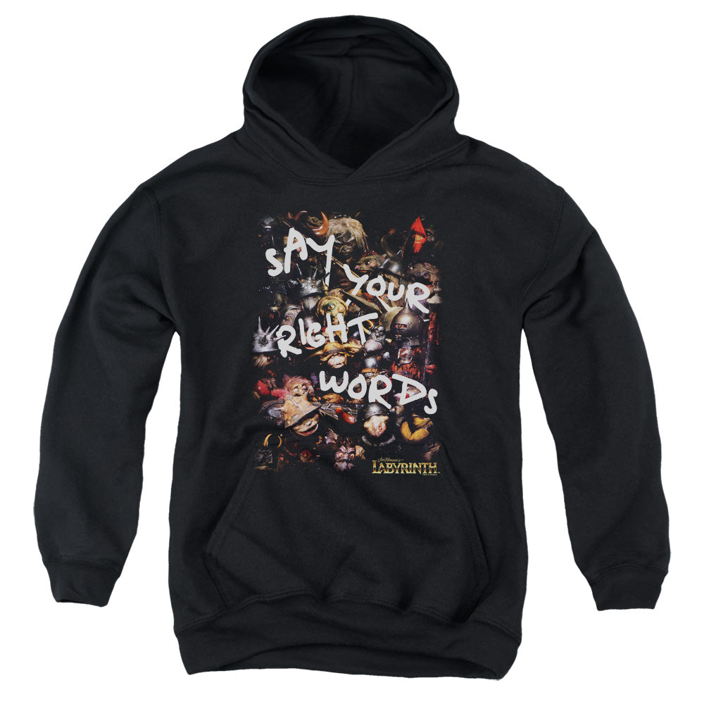 AN OFFCIALLY LICENSED LABYRINTH RIGHT WORDS YOUTH HOODIE BLACK