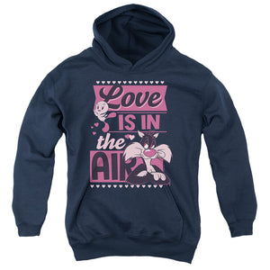 AN OFFCIALLY LICENSED LOONEY TUNES VALENTINE'S DAY TWEETY SYLVESTER LOVE IN THE AIR YOUTH HOODIE NAVY