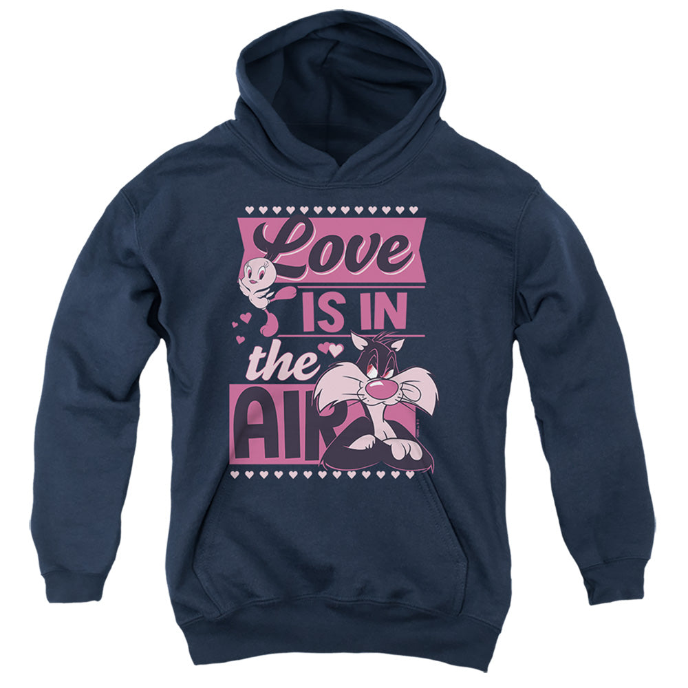 AN OFFCIALLY LICENSED LOONEY TUNES VALENTINE'S DAY TWEETY SYLVESTER LOVE IN THE AIR YOUTH HOODIE NAVY