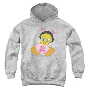 AN OFFCIALLY LICENSED LOONEY TUNES VALENTINE'S DAY TWEETY BEE MINE YOUTH HOODIE ATHLETIC HEATHER