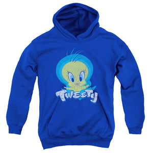 AN OFFCIALLY LICENSED LOONEY TUNES TWEETY SWIRL YOUTH HOODIE ROYAL