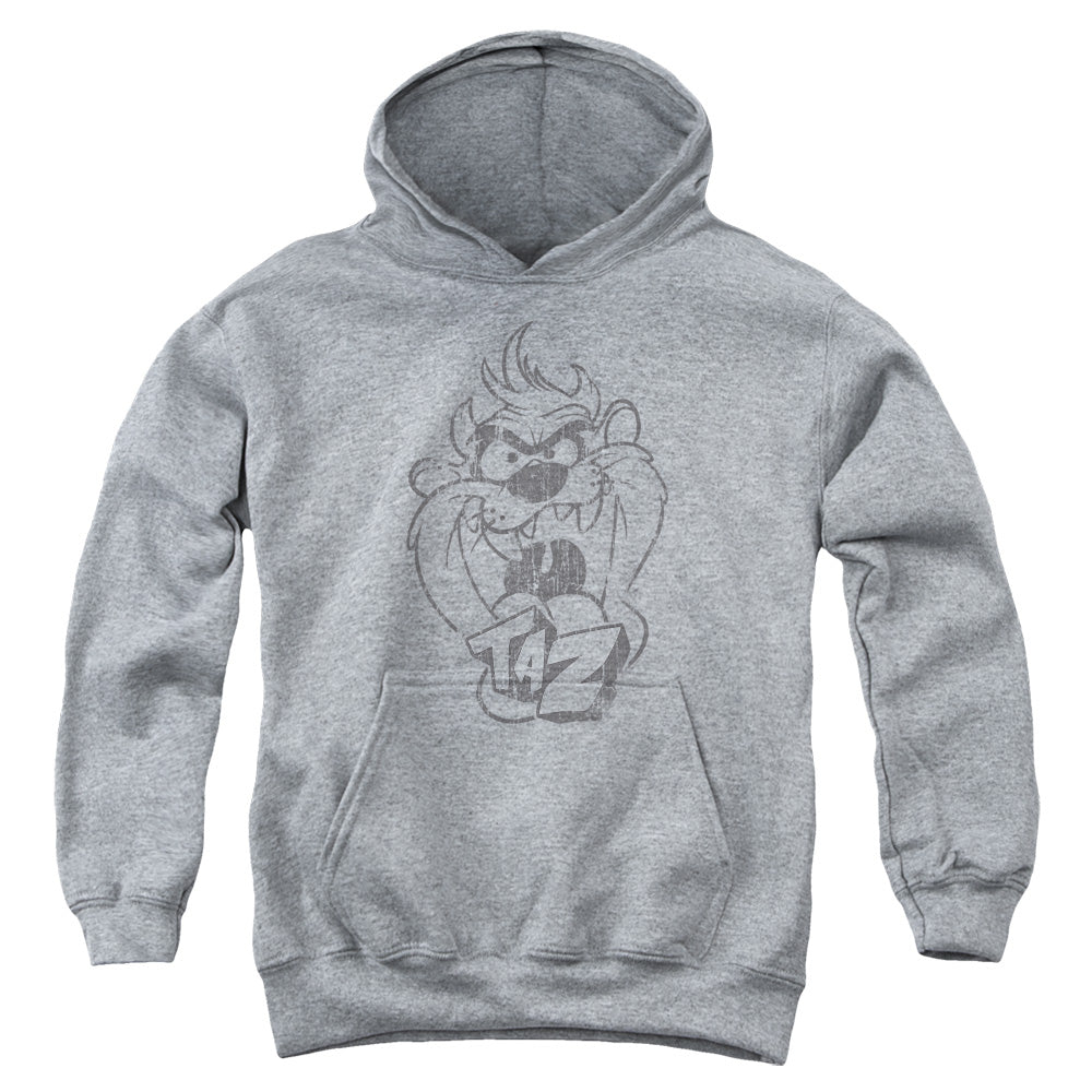 AN OFFCIALLY LICENSED LOONEY TUNES FADED TAZ YOUTH HOODIE ATHLETIC HEATHER