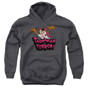 AN OFFCIALLY LICENSED LOONEY TUNES TAZ TERROR YOUTH HOODIE CHARCOAL