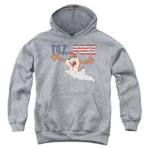 AN OFFCIALLY LICENSED LOONEY TUNES TAZ FOR PREZ 3 YOUTH HOODIE ATHLETIC HEATHER