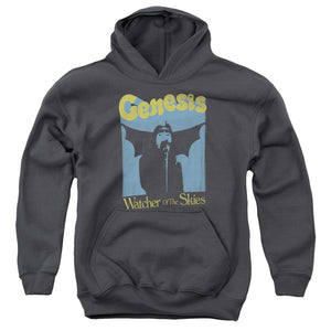 AN OFFCIALLY LICENSED GENESIS WATCHER OF THE SKIES YOUTH HOODIE CHARCOAL