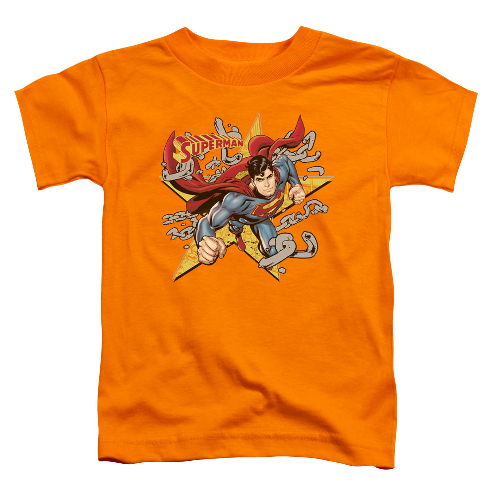 Superman Stars And Chains Licensed Toddler T-Shirt LG