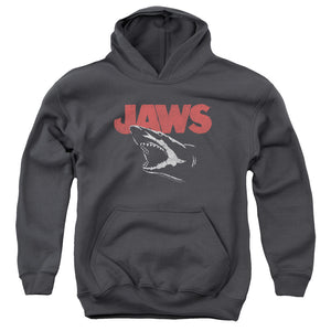 AN OFFCIALLY LICENSED JAWS CRACKED JAW YOUTH HOODIE CHARCOAL