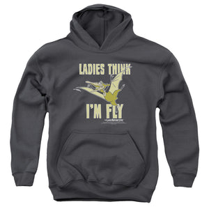 AN OFFCIALLY LICENSED LAND BEFORE TIME IM FLY YOUTH HOODIE CHARCOAL