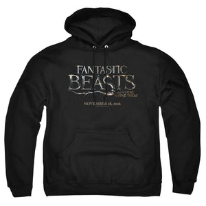 AN OFFCIALLY LICENSED FANTASTIC BEASTS LOGO ADULT UNISEX PULLOVER HOODIE BLACK