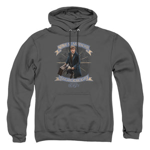 AN OFFCIALLY LICENSED FANTASTIC BEASTS NEWT SCAMANDER ADULT UNISEX PULLOVER HOODIE CHARCOAL