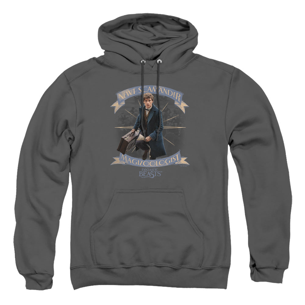 AN OFFCIALLY LICENSED FANTASTIC BEASTS NEWT SCAMANDER ADULT UNISEX PULLOVER HOODIE CHARCOAL