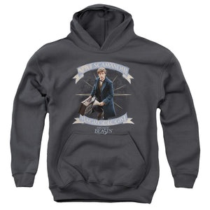 AN OFFCIALLY LICENSED FANTASTIC BEASTS NEWT SCAMANDER YOUTH HOODIE CHARCOAL