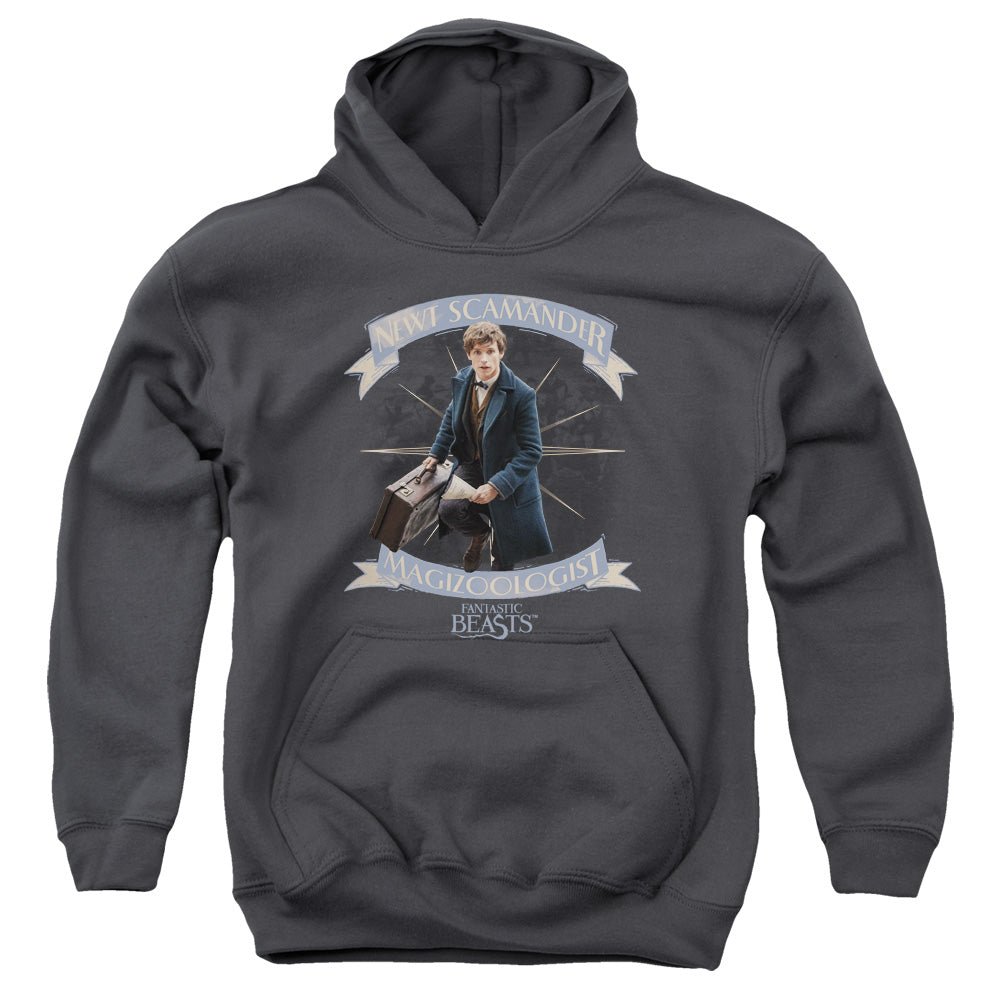 AN OFFCIALLY LICENSED FANTASTIC BEASTS NEWT SCAMANDER YOUTH HOODIE CHARCOAL