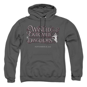 AN OFFCIALLY LICENSED FANTASTIC BEASTS WANDED ADULT UNISEX PULLOVER HOODIE CHARCOAL