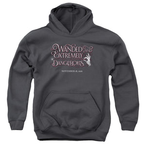 AN OFFCIALLY LICENSED FANTASTIC BEASTS WANDED YOUTH HOODIE CHARCOAL