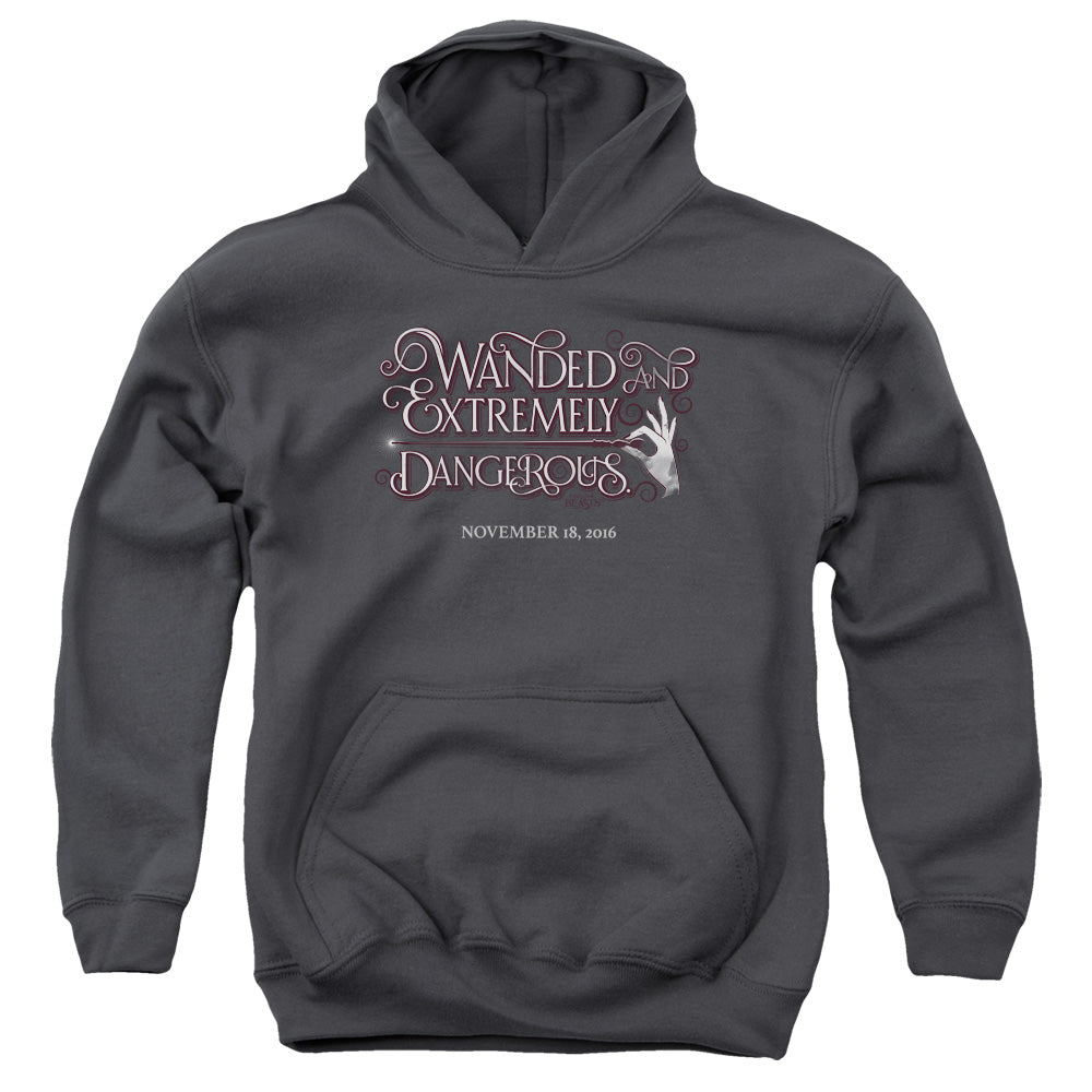 AN OFFCIALLY LICENSED FANTASTIC BEASTS WANDED YOUTH HOODIE CHARCOAL