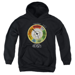 AN OFFCIALLY LICENSED FANTASTIC BEASTS THREAT GAUGE YOUTH HOODIE BLACK