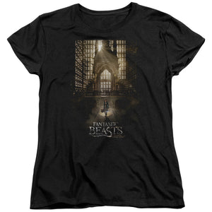AN OFFCIALLY LICENSED FANTASTIC BEASTS POSTER WOMEN'S REGULAR FIT T-SHIRT BLACK