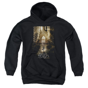 AN OFFCIALLY LICENSED FANTASTIC BEASTS POSTER YOUTH HOODIE BLACK