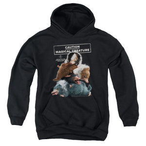 AN OFFCIALLY LICENSED FANTASTIC BEASTS 2 CUDDLE PUDDLE YOUTH HOODIE BLACK